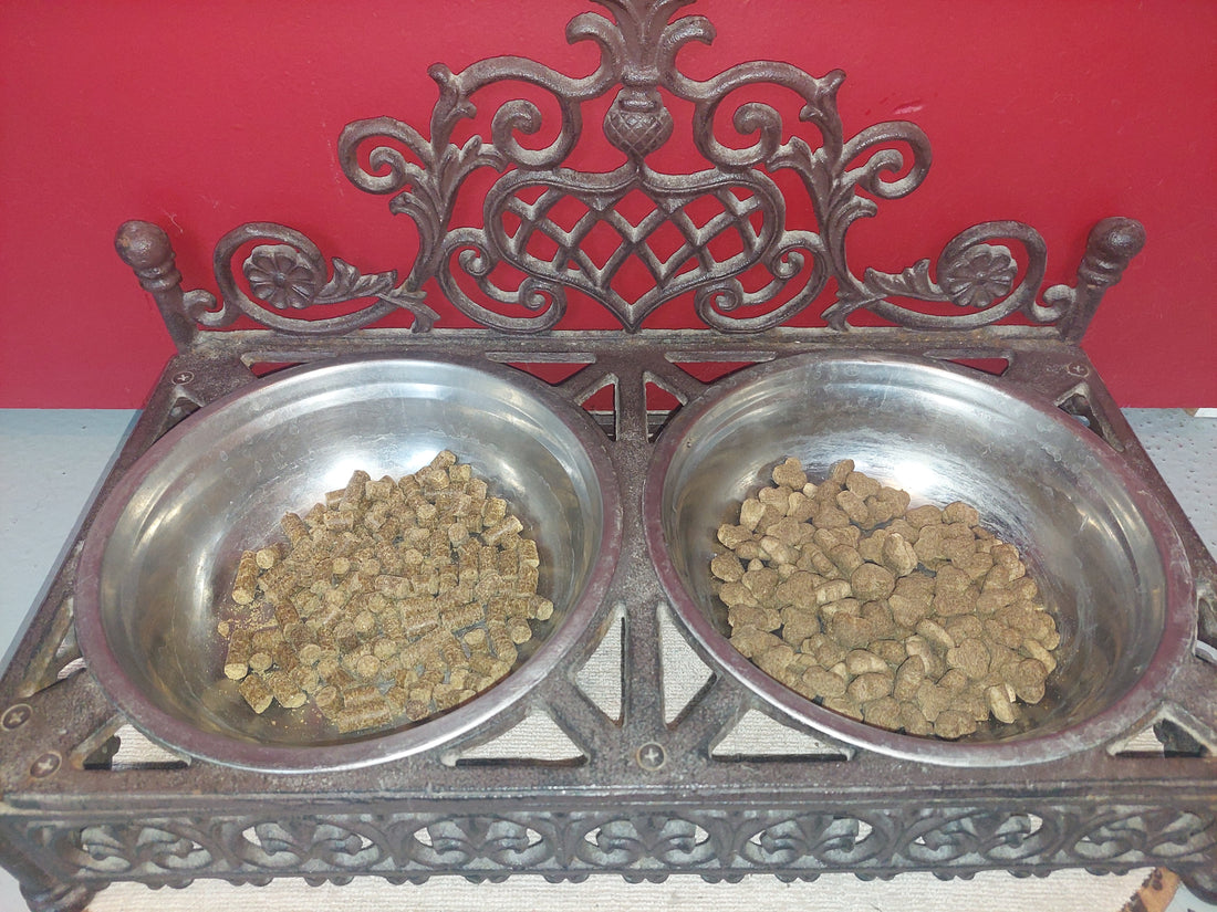 Blog: Krokante brok vs geperste brok – wat is beter voor jouw hond?