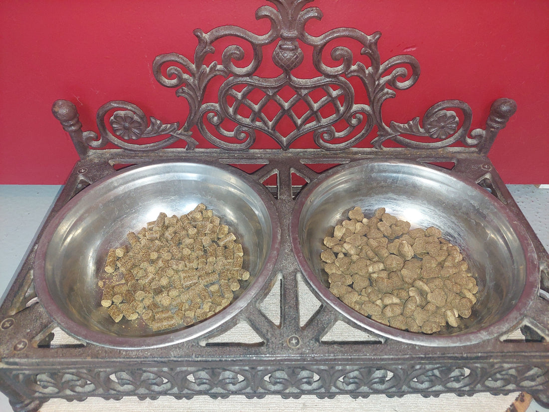 Krokante brok vs geperste brok – wat is beter voor jouw hond?