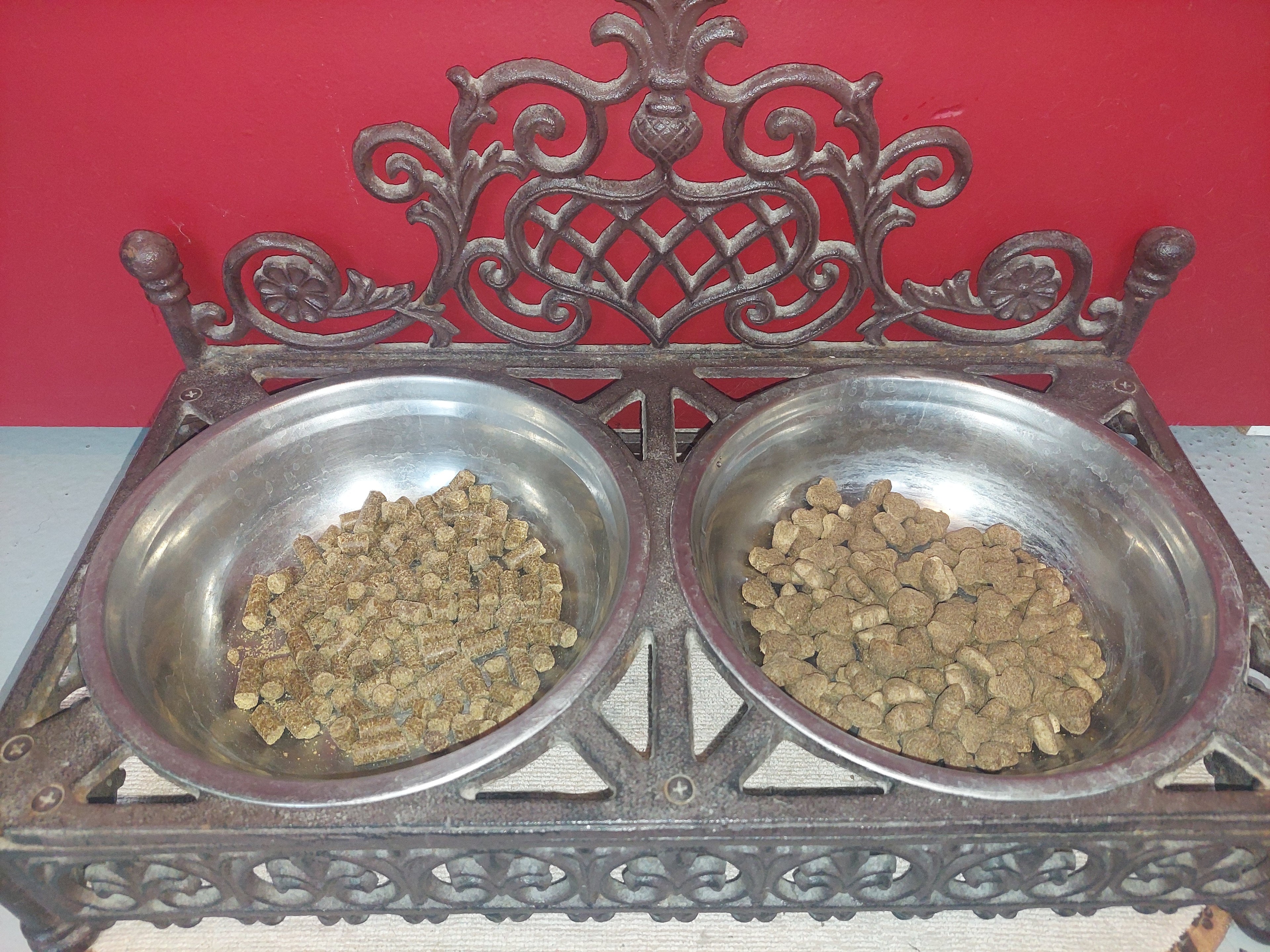 Krokante brok vs geperste brok – wat is beter voor jouw hond?